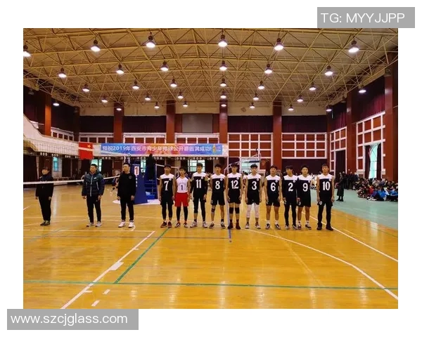 西安排球队在挑战赛中的耐力表现分析与点评 西安排球队在挑战赛中的耐力表现分析与点评
