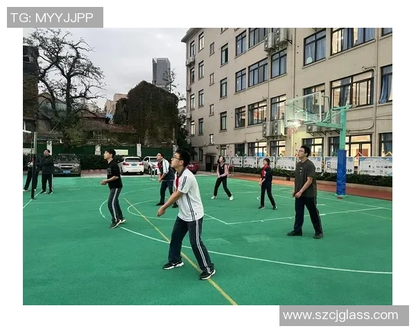 上海排球队的控制革新探索与实践全景分析 上海排球队的控制革新探索与实践全景分析