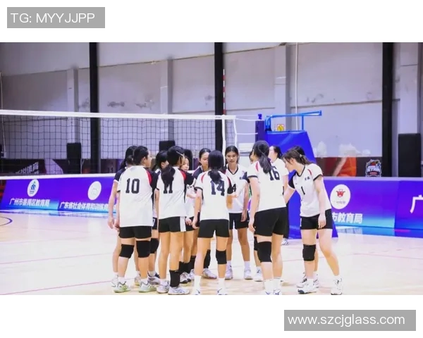 排球技术排行榜揭晓北京排球队荣获第五名成就辉煌