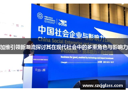 加维引领新潮流探讨其在现代社会中的多重角色与影响力